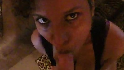Horny lily